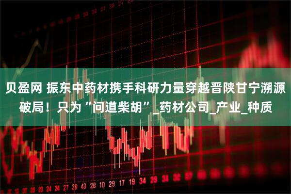贝盈网 振东中药材携手科研力量穿越晋陕甘宁溯源破局！只为“问道柴胡”_药材公司_产业_种质