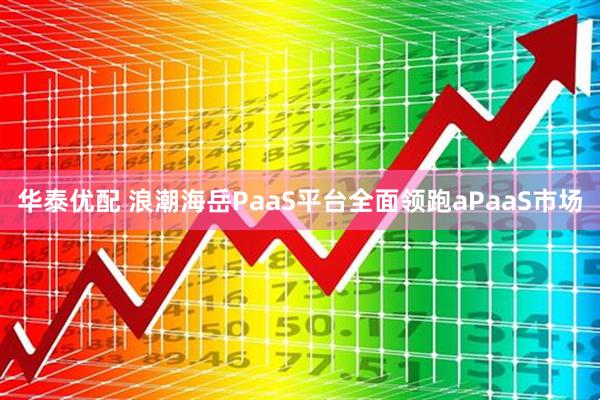 华泰优配 浪潮海岳PaaS平台全面领跑aPaaS市场